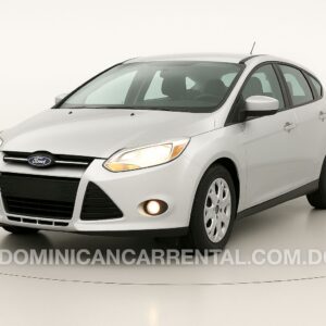 Ford Focus 2012 - Gris